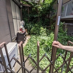 便利屋　松下みさお
