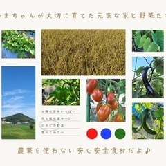 食べる瞑想＊マインドフルeating
