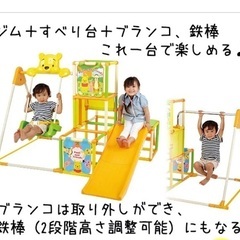 ジャングルジム (取扱説明書付き)の画像