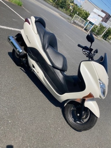 フォルツァ MF08 極上