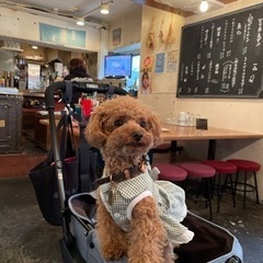 犬友募集中♪