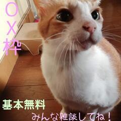 配信SNS、ライブ配信のマネージャー募集!! - その他