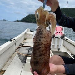 釣り仲間募集