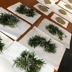 ☆心も身体も美しく・お姫様のメディカルアロマ☆