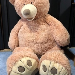 53インチ　大きいクマさん