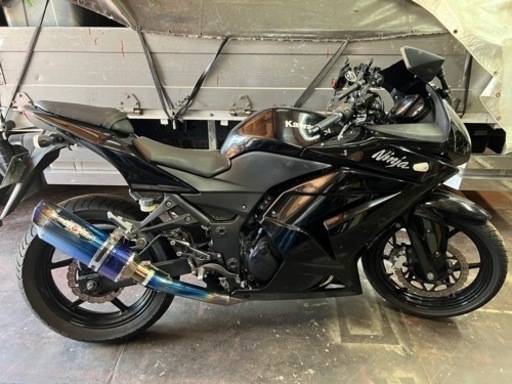 カワサキ　ninjaニンジャ250r