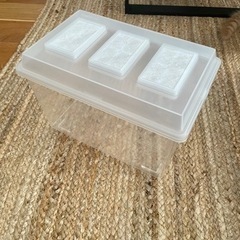 虫かご① 中古