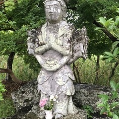 再募集　草抜作業、剪定枝のかたづけ作業。12月中頃に3日ほ…