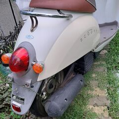 可愛い50cc 　クレアスクーピーの画像