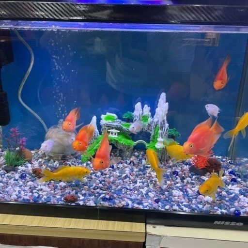 全部売ります！