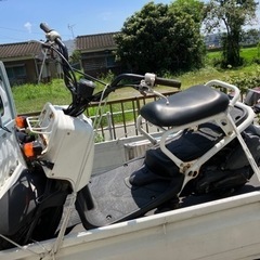 ホンダ　ズーマー　FI  実動！ベースに！仕上げ用！の画像