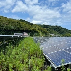 太陽光草刈りは長崎〜熊本　便利屋タスケットにお任せ！