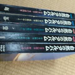 自然のアルバム初版本です。の画像