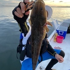 三河湾　ボート餌釣り - その他