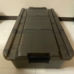カインズホーム　キャリコオレア　浅型
