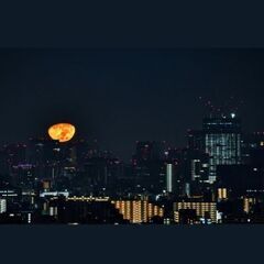 夜更かしさんとお友達になりたい - 足立区
