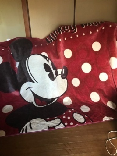 カーペット　ディズニー