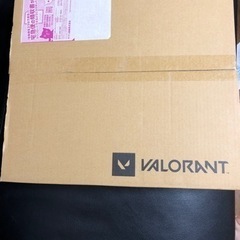 VALORANT ヴァロラント THE UNLOCKERS セットアップの画像