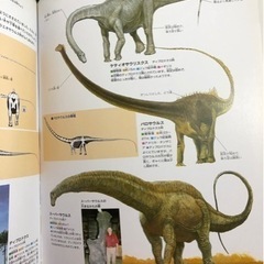 「恐竜」　学研の図鑑の画像