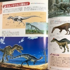 「恐竜」　学研の図鑑の画像