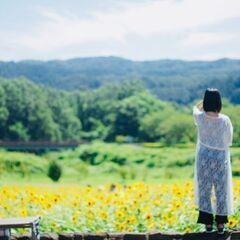 8月6日(土)　ひまわり撮影会