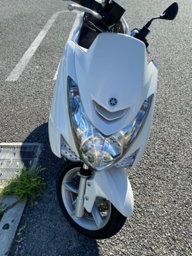 マジェスティS 距離浅　外装難あり