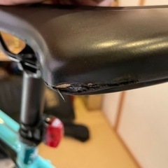Bianchi ROMA3の画像