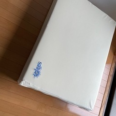 【⠀取引完了⠀】トゥルースリーパーシングルサイズ
