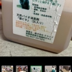 猫さんグッズ⭐︎にゃんともスーパートイレ、猫バッグ他の画像