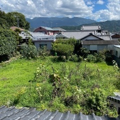 家庭菜園での紫蘇と姫しばの収穫&草刈り『御礼あり』
