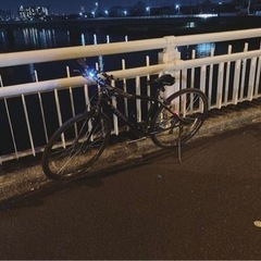 TREK FX2 17.5 164〜177cm  クロスバイク 
