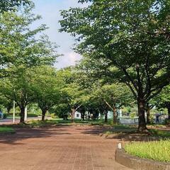 【無料】1級指導士とする本気の正しいラジオ体操 − 熊本県
