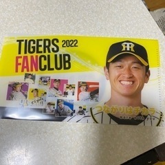 阪神日本一記念。80周年記念バッチ＆阪神ファイル＆ビリケンの画像