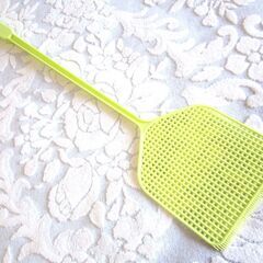 ピンセット付きハエたたきセット（新品）の画像