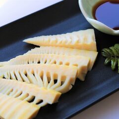 刺身で食べられるタケノコ畑！広々1.1ヘクタール