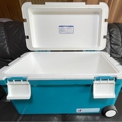 大型クーラーボックス　決まりました！