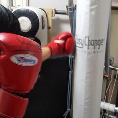 川西市 鼓が滝 ボクシング研究所 冬休みはボクシング‼️ の画像