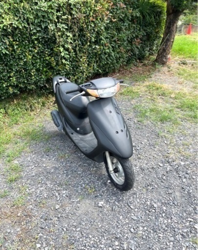 378.  動画あり　ホンダ　ライブディオZX仕様　原付　バイク　50cc   車体