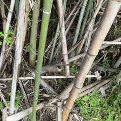 岸和田市内畑町　農地　売買 - 土地販売/土地売買
