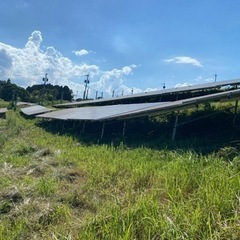 再度草刈り作業出来る方募集します。の画像