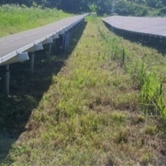 再度草刈り作業出来る方募集します。の画像