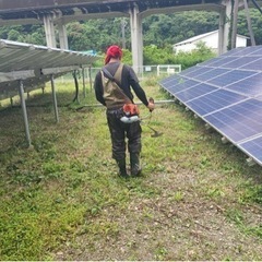 再度草刈り作業出来る方募集します。の画像