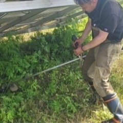 再度草刈り作業出来る方募集します。の画像