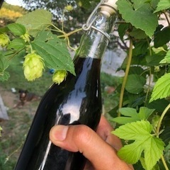 自家製ビール楽しんでいるひと