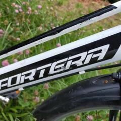 整備済み　22インチ　子供　ジュニアマウンテンバイク　自転車の画像