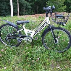 整備済み　22インチ　子供　ジュニアマウンテンバイク　自転車の画像