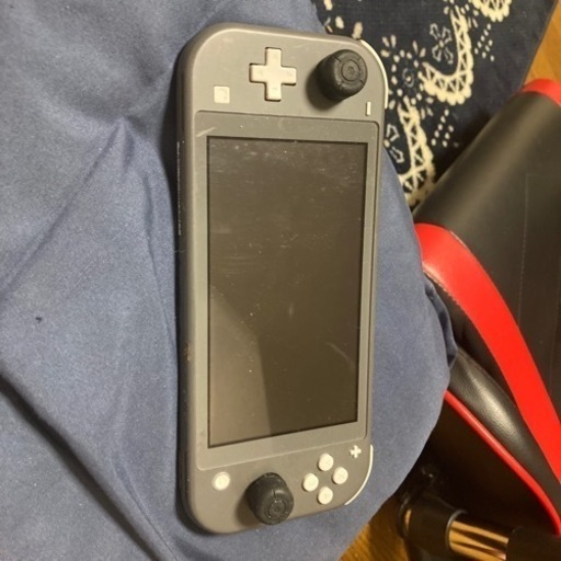 その他 Nintendo switch rite