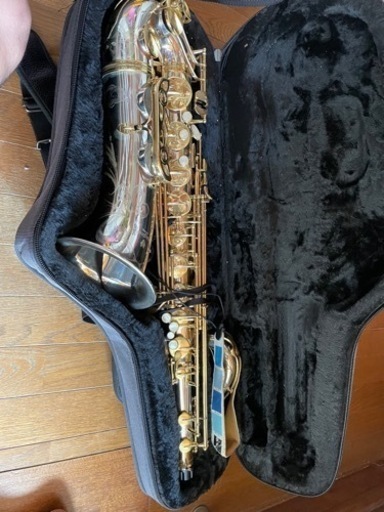 ヤナギサワ A9937