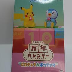 ピカチュウ　ポッチャマ　万年カレンダー