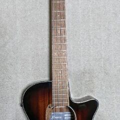 アイバニーズ Ibanez AEGB24E  アコースティックベース